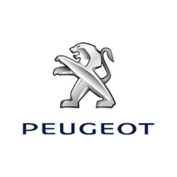 1606336457_peugeot_01.jpg